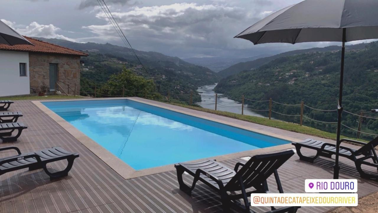 Quinta De Catapeixe Douro River Magrelos Exterior photo
