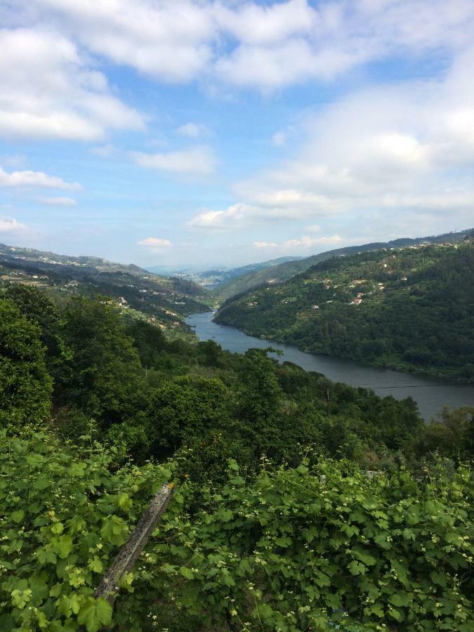 Quinta De Catapeixe Douro River Magrelos Exterior photo